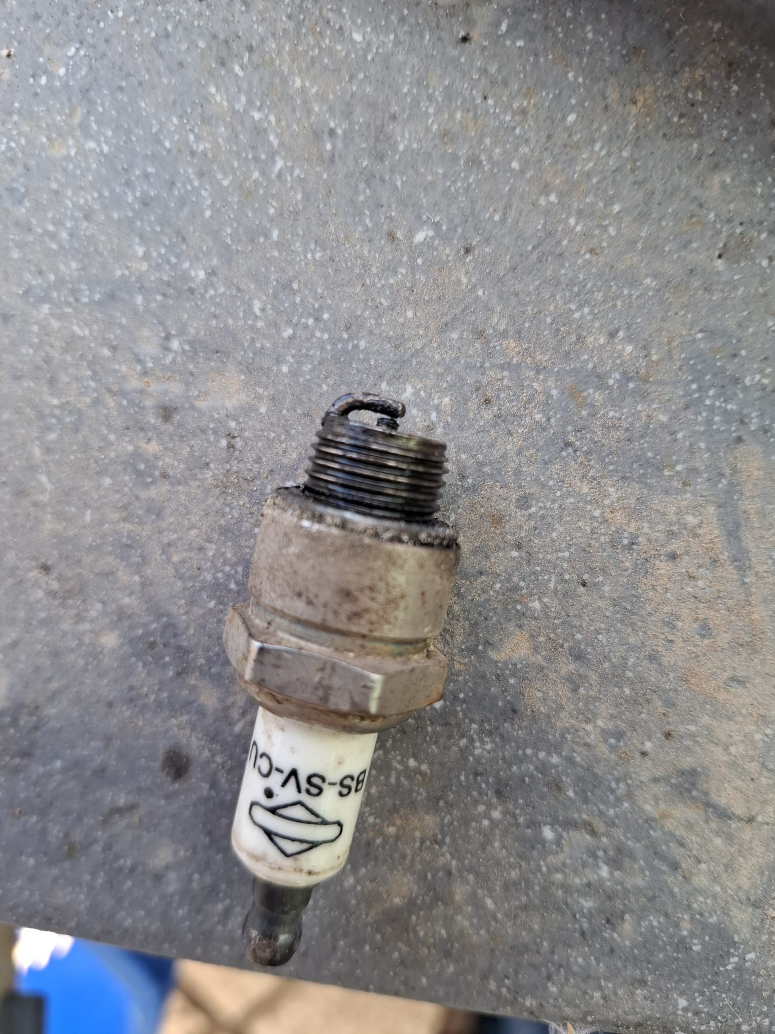 פלאג מכסחת דשא ללא רווח אלקטורדה